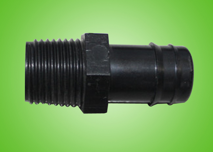 20zȲֱ